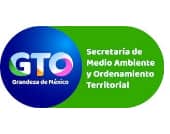 desazolves silao gto